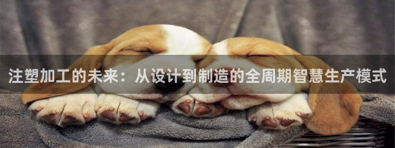 华润娱乐d3指尖