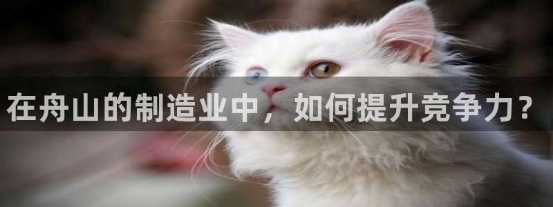 华润娱乐右7O667