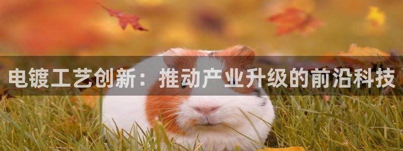 华润娱乐游戏