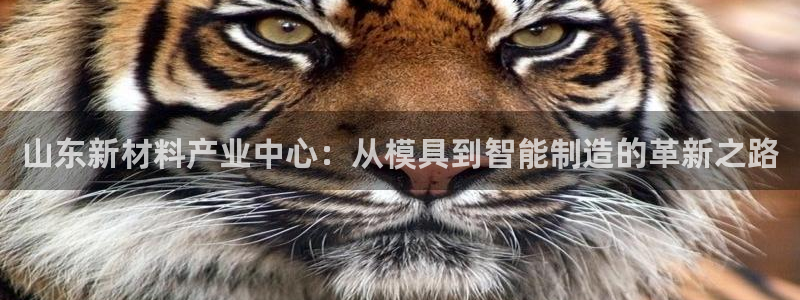 新会华润娱乐