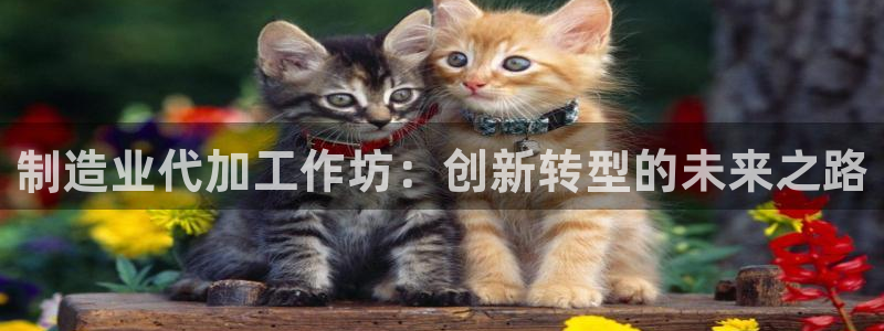 华润娱乐主