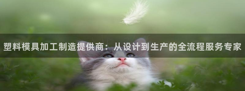 华润娱乐月