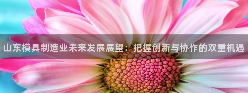 山东华润2娱乐