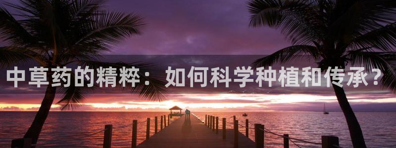 华润娱乐进