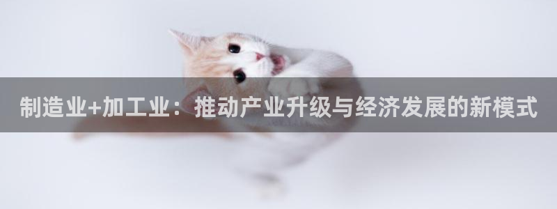山东华润2娱乐