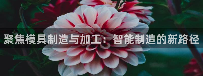 华润娱乐铀122222
