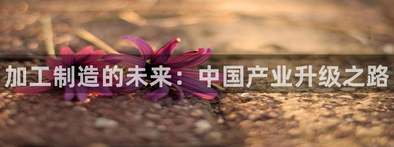 华润娱乐所
