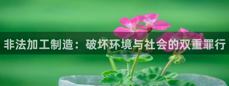 上海华润金丰娱乐娱乐