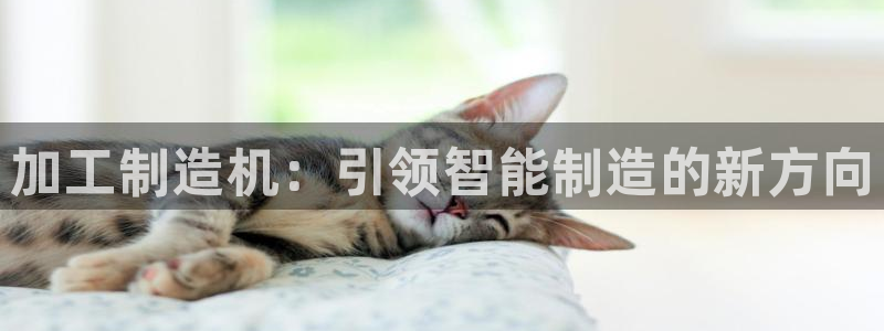 华润娱乐01q675.138