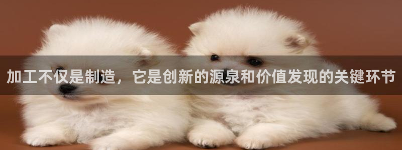 华润悦府娱乐