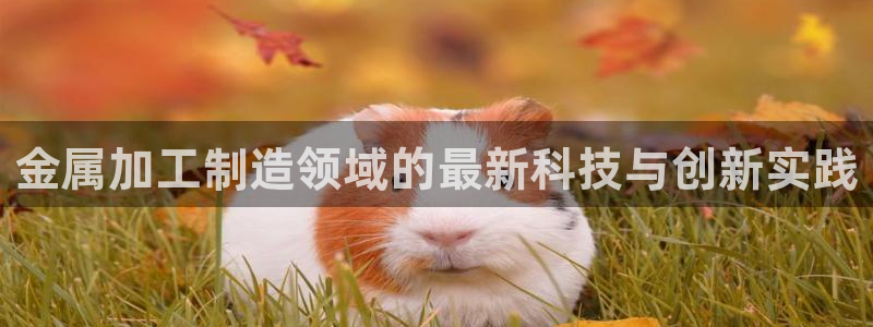 华润娱乐2