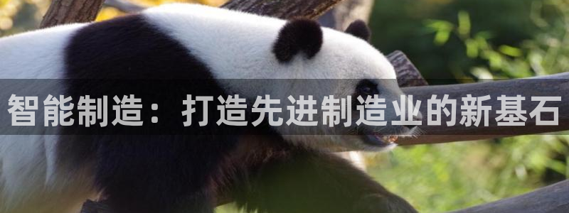 华润娱乐07c娱乐333OO