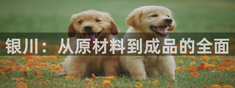 华润娱乐提现冻结