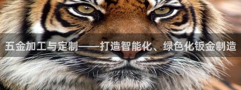 新会华润娱乐会所电话