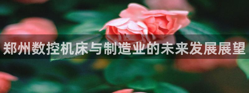 华润娱乐问92222