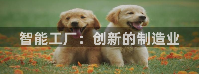 华润娱乐唐判官21