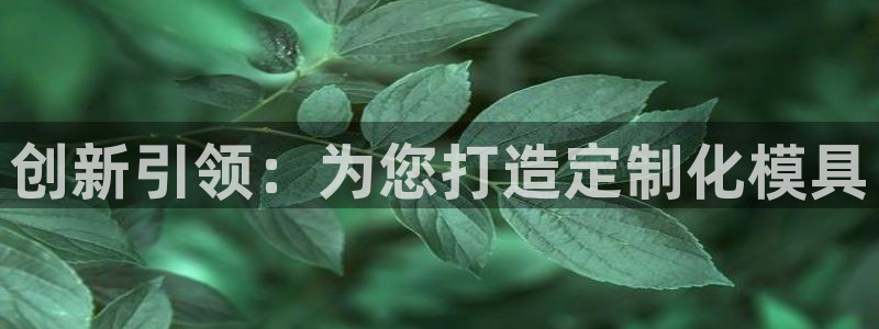 中国华润娱乐