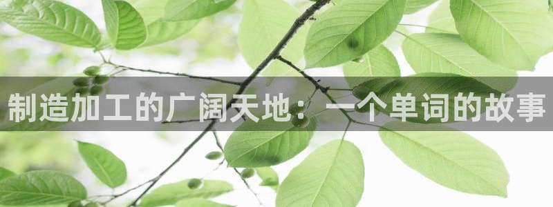 华润娱乐平台主管