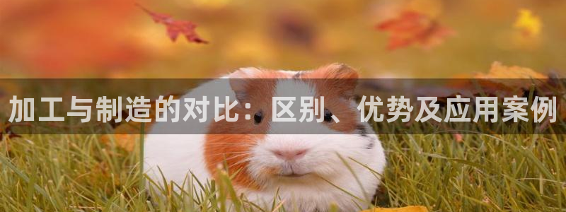 华润娱乐褪122222