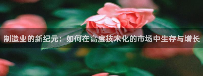 华润娱乐h3指尖