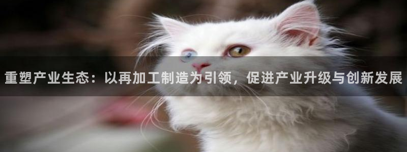华润娱乐提现冻结