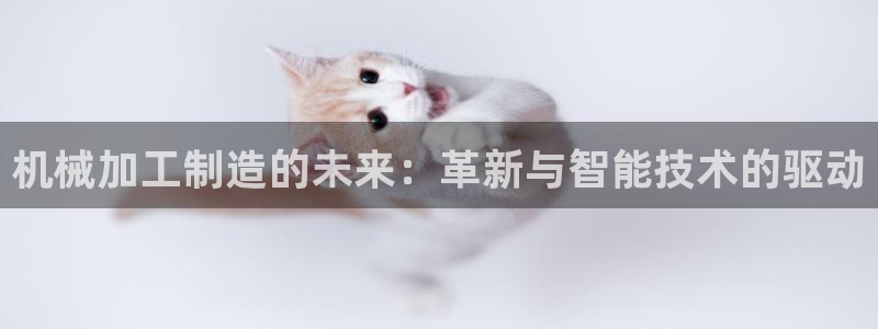 华润娱乐只