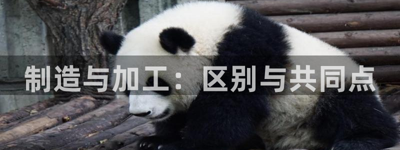 华润娱乐地5指尖