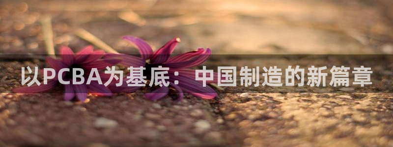 华润娱乐董判官21