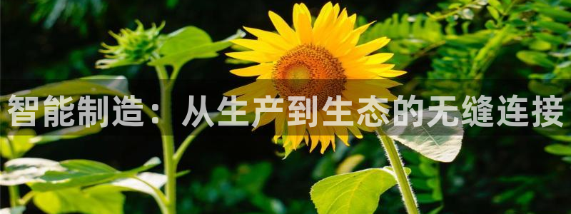 华润娱乐11h娱乐333OO