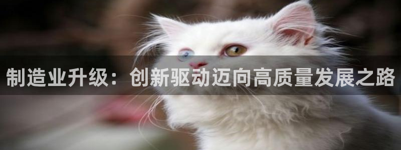 华润集团娱乐公司