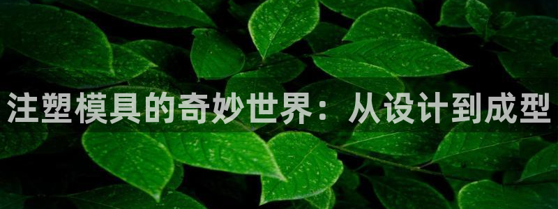 华润娱乐枷92222