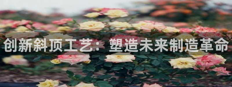 华润的娱乐项目