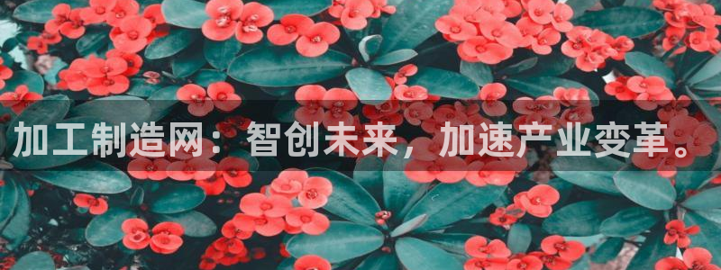 华润娱乐a3指尖