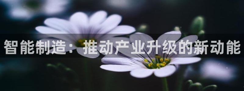 华润娱乐11z娱乐333OO