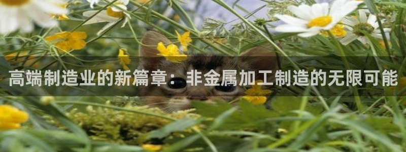 上海华润汇娱乐会所电话