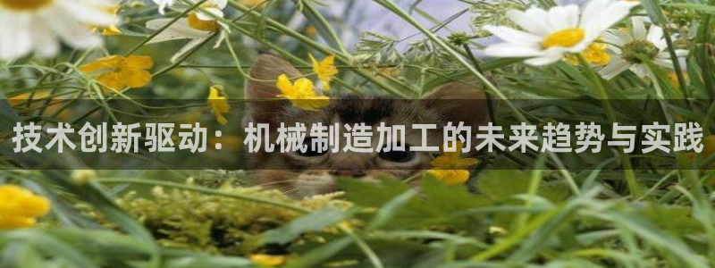 华润娱乐张博