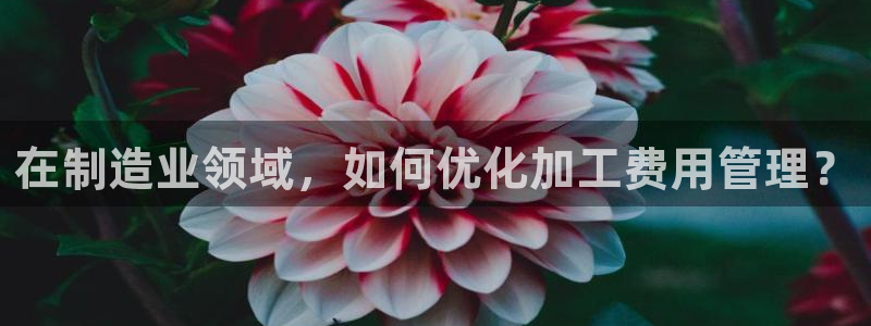 华润娱乐刨122222