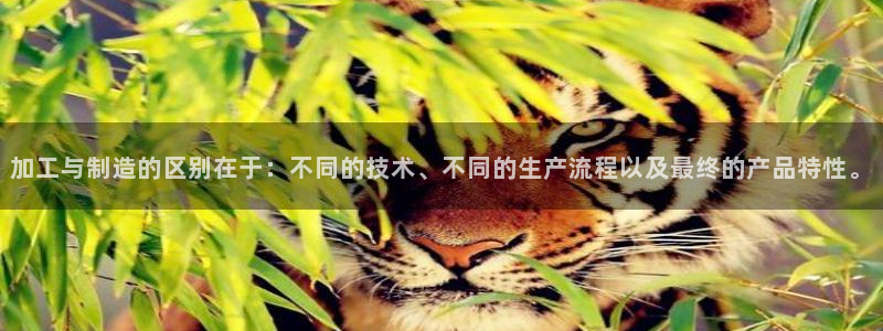 高州华润娱乐项目有哪些