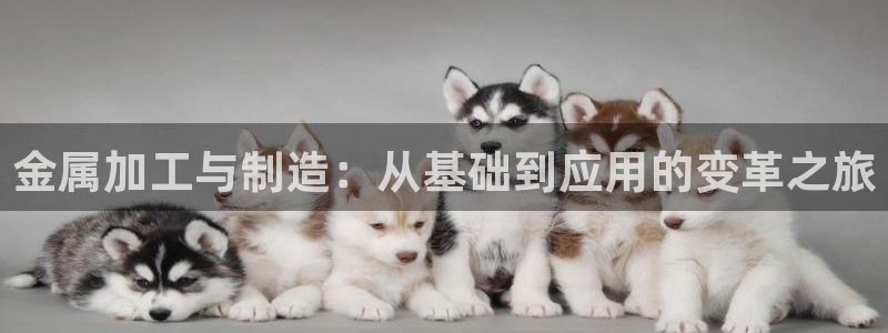 华润娱乐g3指尖