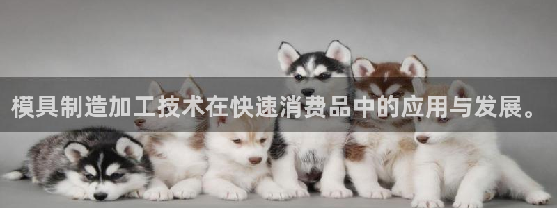 华润娱乐湛95692