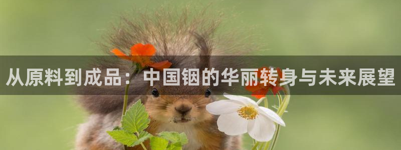 华润娱乐天7O667
