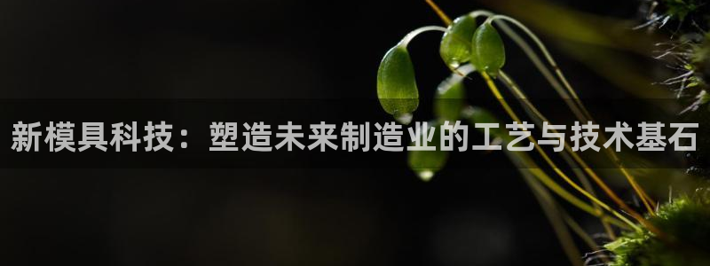 华润娱乐托 92222