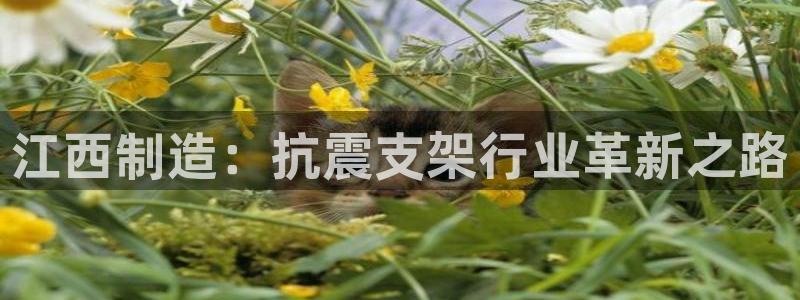 华润娱乐涌92222