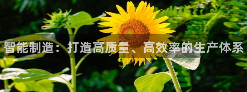 华润娱乐地址查询