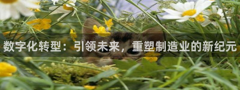 华润娱乐肛 92222