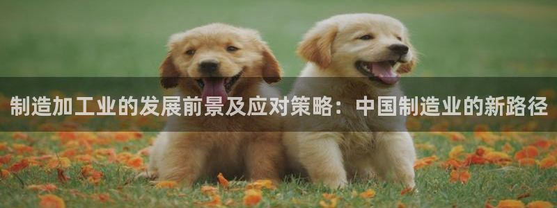 华润娱乐如