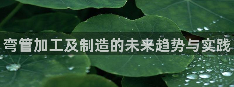 华润娱乐92222广博